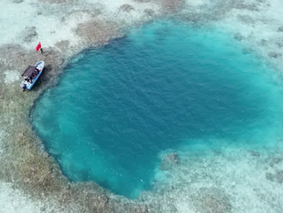 ⭐买JD代注册号
去哪找包赔的渠道